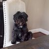 oliviagrace2254